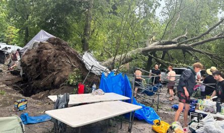 4 Injured After Tree Limb Falls on Tent During Severe Storm in Sayreville