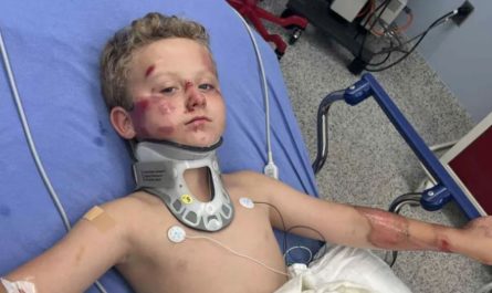 8-Year-Old Boy Recovering After Hit-and-Run Bicycle Accident in Fort Worth
