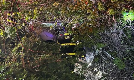 EHT Firefighters Rescue Driver Trapped in Vehicle Down 40-Foot Embankment on Garden State Parkway