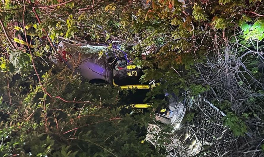 EHT Firefighters Rescue Driver Trapped in Vehicle Down 40-Foot Embankment on Garden State Parkway