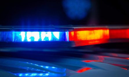 Family Dog Fatally Attacks 7-Day-Old Baby Boy in Indiana Home