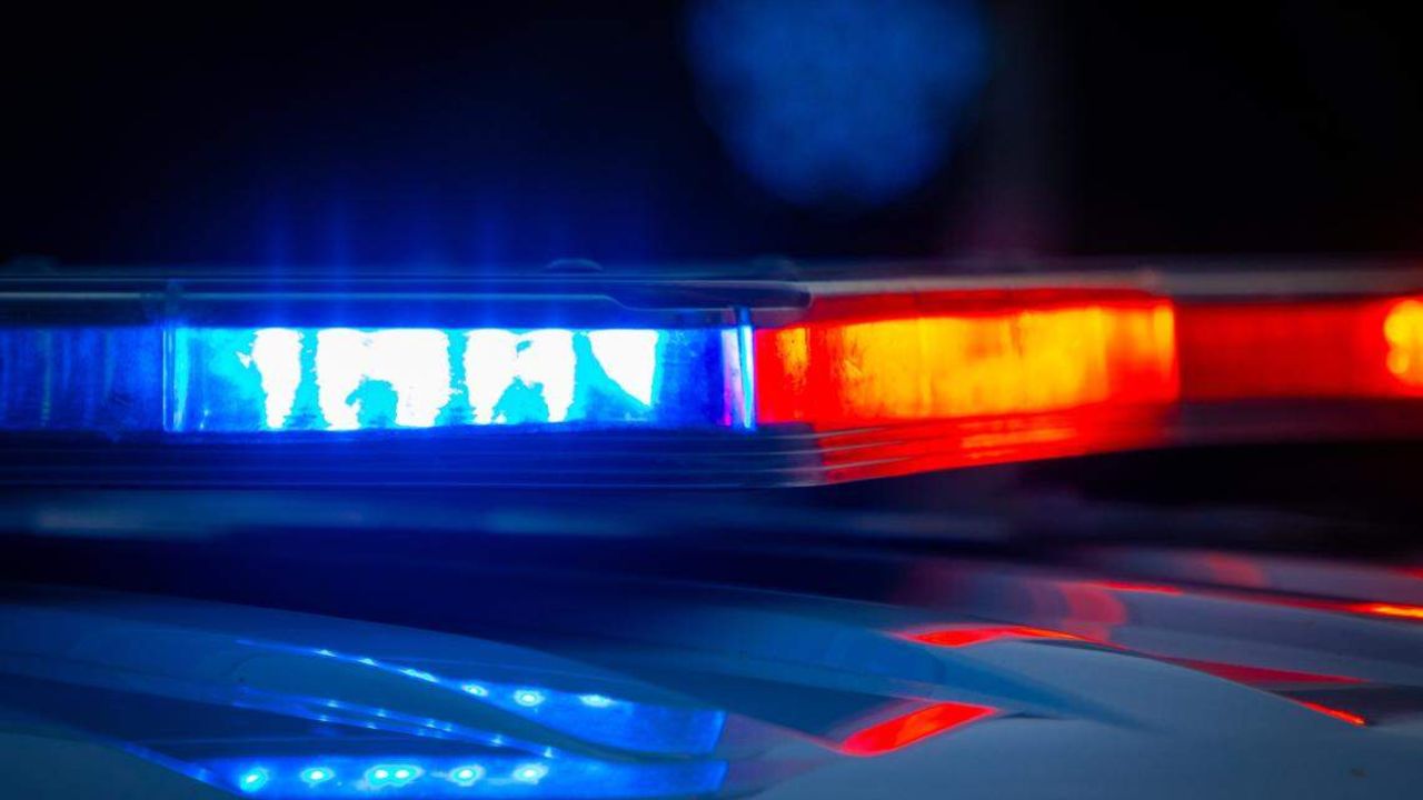 Family Dog Fatally Attacks 7-Day-Old Baby Boy in Indiana Home