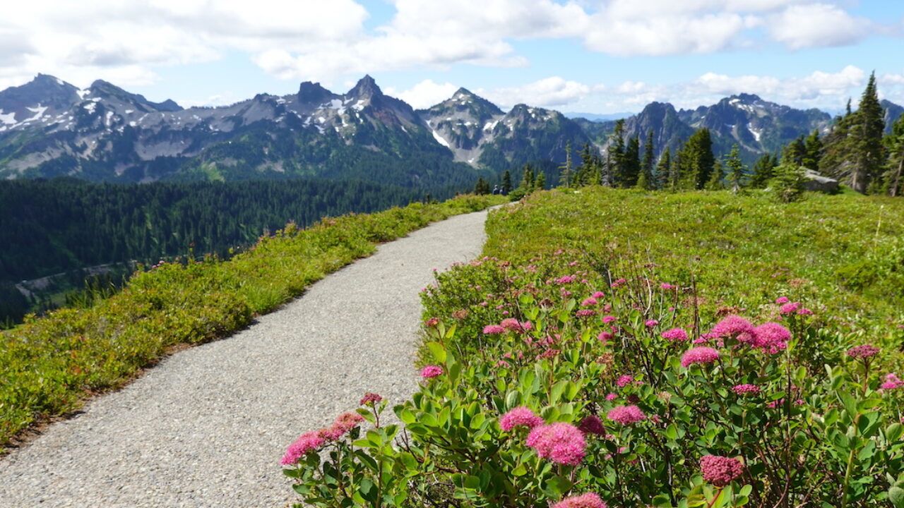 Five Washington Trails That Bloom Late into September: A Guide to Autumn Wildflowers and Scenic Hikes