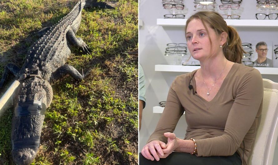 Florida Alligator Attack Victim Dr. Amber Perren Reveals Harrowing Survival Story