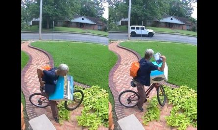 Louisiana Woman’s Home Camera Captures Elderly Man Stealing Package, TikTok Video Sparks Debate on Porch Piracy