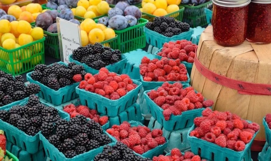 New Lenox, IL Farmers Market Nears End: Only Two Dates Left to Enjoy Local Goods in 2025