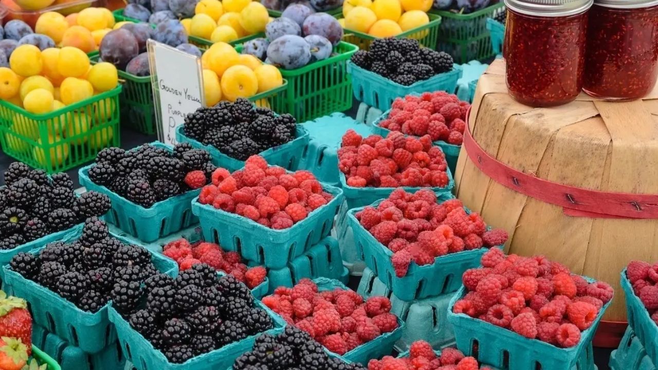 New Lenox, IL Farmers Market Nears End: Only Two Dates Left to Enjoy Local Goods in 2025