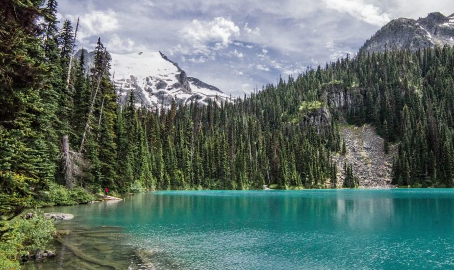Oklahoma Scenic Lakes Perfect for September Camping: Top Lakes to Visit This Fall