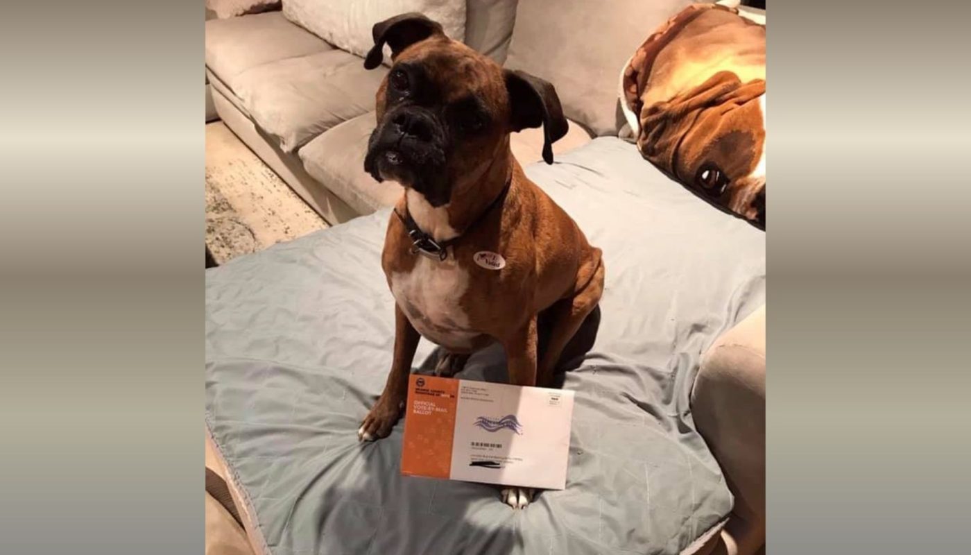 Southern California Woman Faces Felony Charges for Registering Dog to Vote, Casting Two Ballots