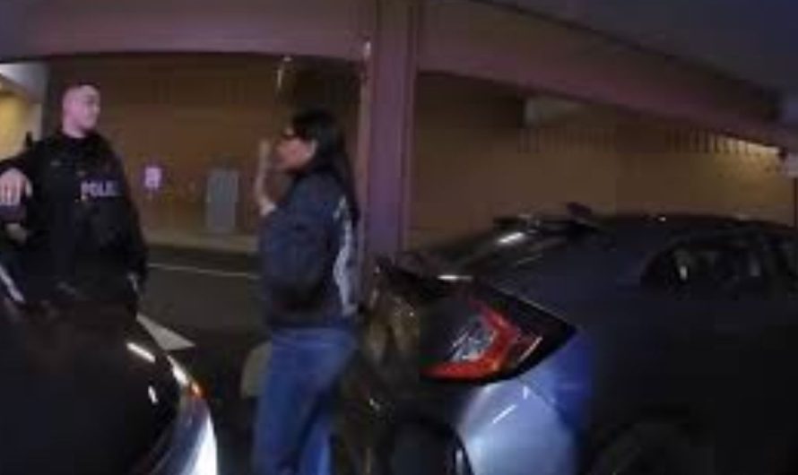 Tesla Driver Caught Stealing $2,300 Diamond Bracelet and Designer Goods at Short Hills Mall