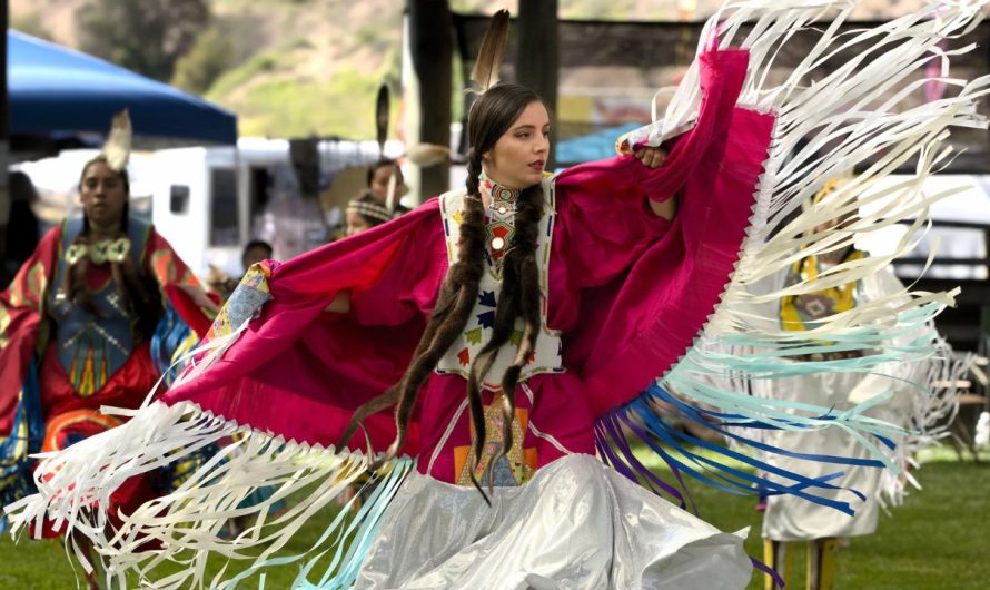 Top 8 Essential Resources for Native American Heritage Education in Michigan