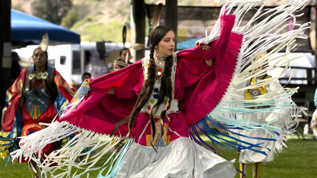 Top 8 Essential Resources for Native American Heritage Education in Michigan