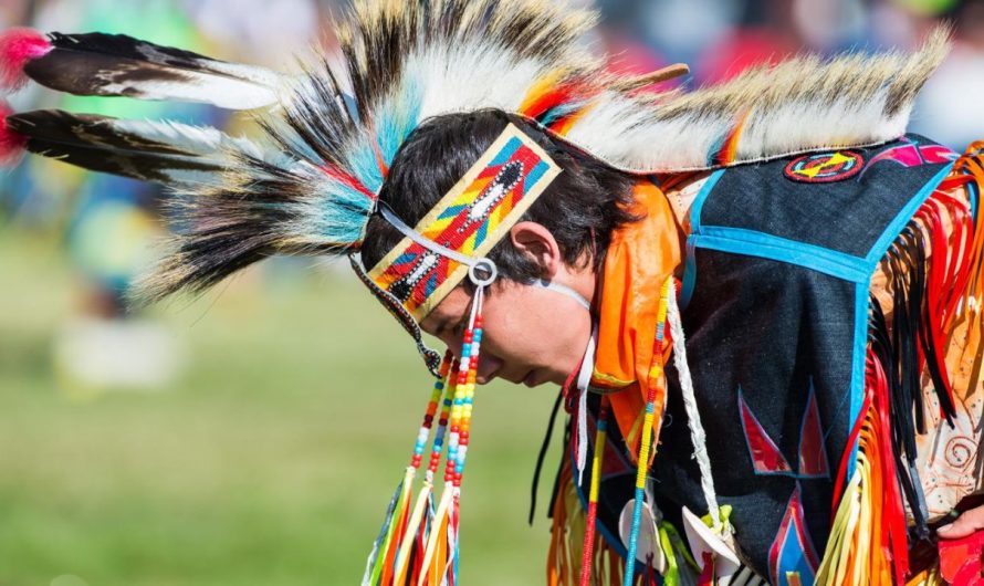 Top 8 Resources for Native American Heritage Education in Delaware