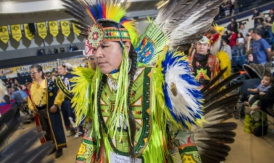 Top 8 Resources for Native American Heritage Education in Rhode Island
