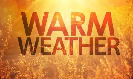 After Days of Record Cold, a Warm-Up Is Coming for the Central and Eastern U.S.