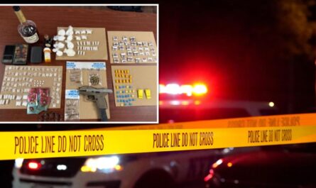 Convicted Killer Arrested Again After NYPD Finds Loaded Gun in His Car