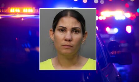 Florida Mother Arrested After Alleged Chore Dispute Turns Violent, Police Say