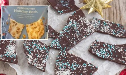 Illinois Holiday Alert Popular Aldi Bark Recalled Over Undeclared Allergen Risk