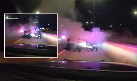 Illinois Officers Crawl Under Burning Car to Save Trapped Driver on I-88