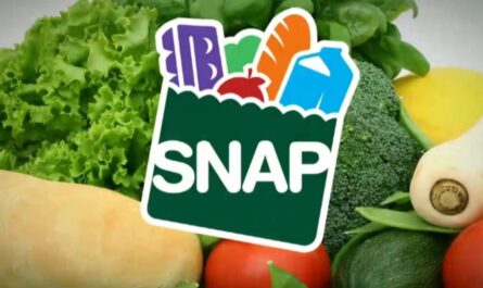 New Jersey Man Charged in Alleged SNAP Fraud Scheme Involving Stolen Identities