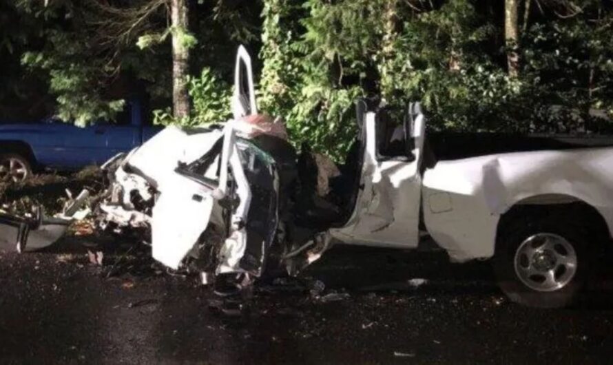 Vehicle Crashes Into Downed Tree on Dille Road in Clark County