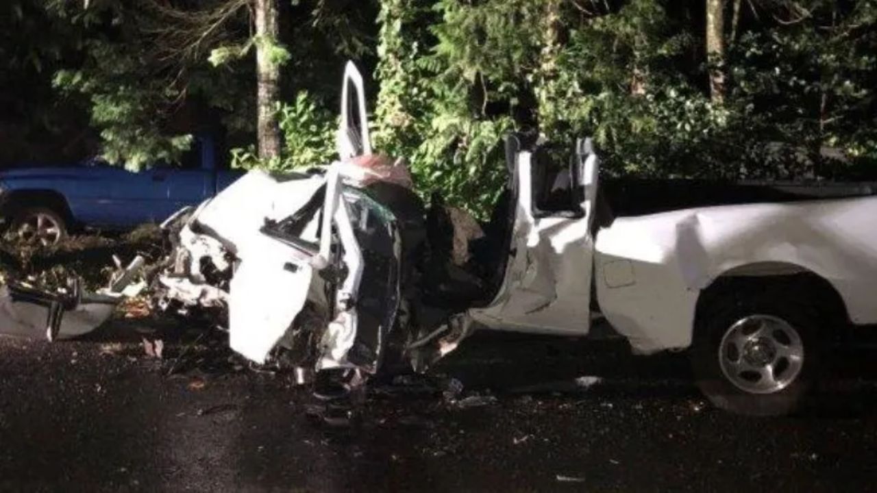 Vehicle Crashes Into Downed Tree on Dille Road in Clark County