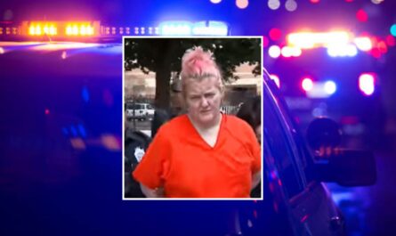 Woman Accused of Killing Boyfriend on Christmas Eve After Argument Over Car and Cellphone, Sheriff Says