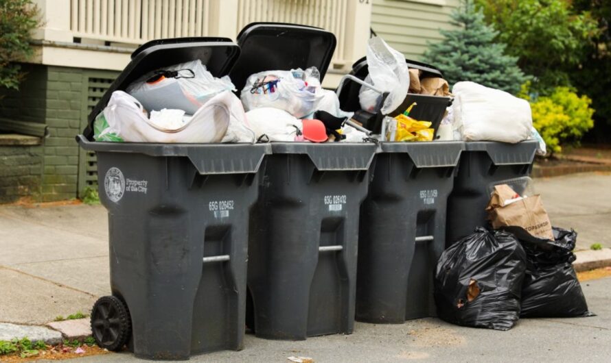 Chicago-Area Trash and Recycling Pickups Shift for New Year’s Day Holiday