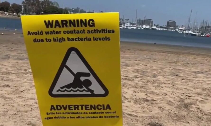 Los Angeles County Issues Beach Advisory After Storm Triggers High Bacteria Levels