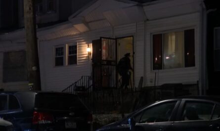 Man and Three Dogs Found Dead Inside Philadelphia Home, Investigation Underway