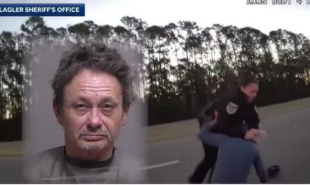 Missing 11-Year-Old Rescued From Registered Sex Offender’s Truck After Chaotic Traffic Stop