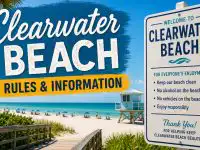 Clearwater Beach Rules & Information: What You Need to Know Before You Go