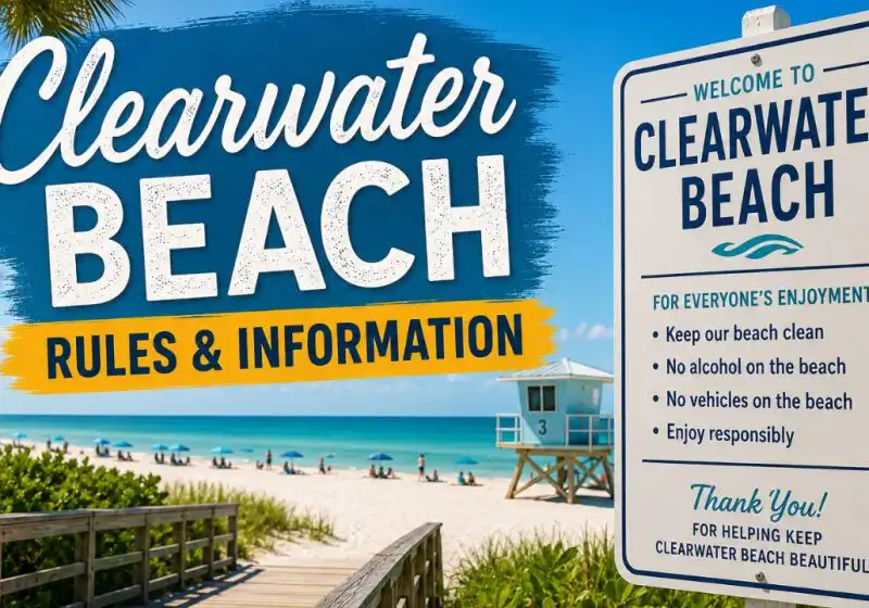 Clearwater Beach Rules & Information: What You Need to Know Before You Go