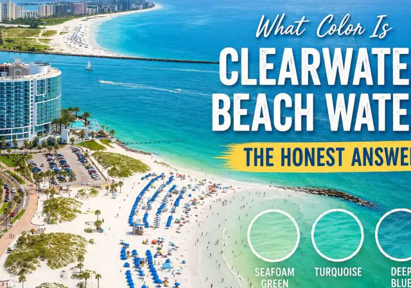 What Color Is Clearwater Beach Water? The Honest Answer