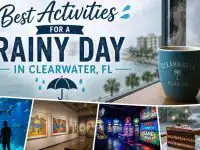 10 Best Activities for a Rainy Day in Clearwater, FL (2026)