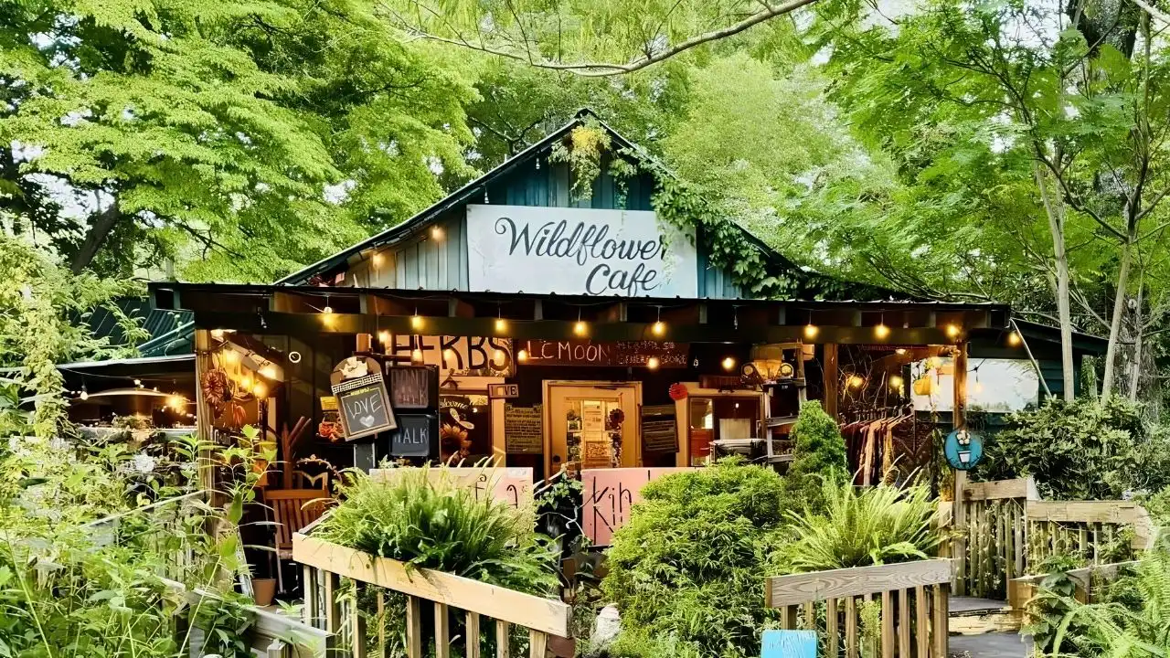 wildflower cafe clearwater